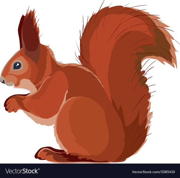 Орешки для белочки картинки для детей