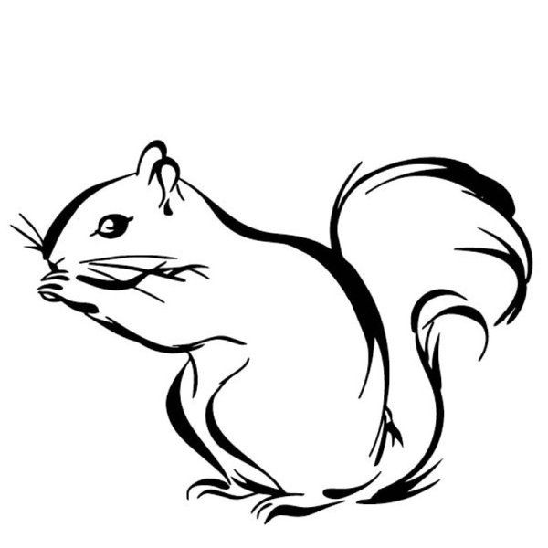 Наклейка Белочка