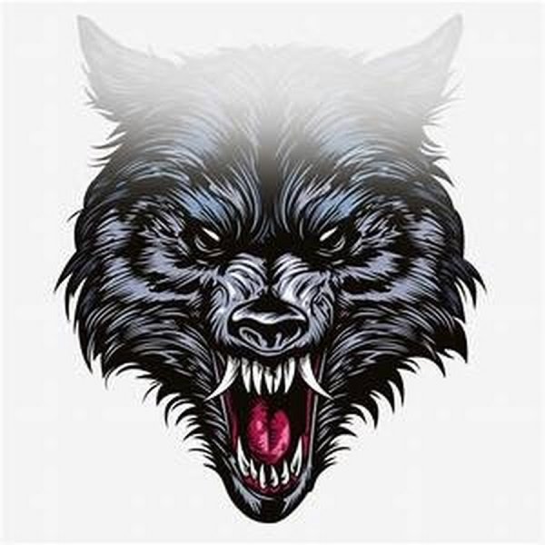 Клык волка вектор