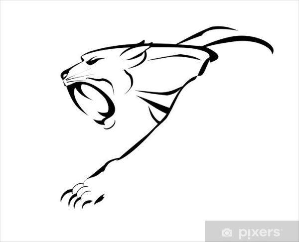 Лапа пантеры с когтями вектор