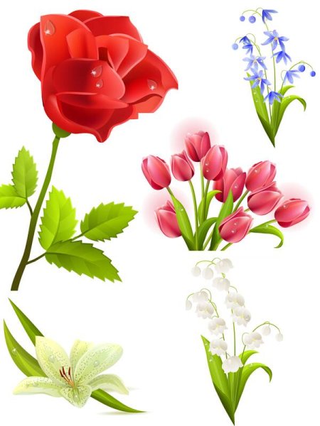 Наклейки весенних цветов