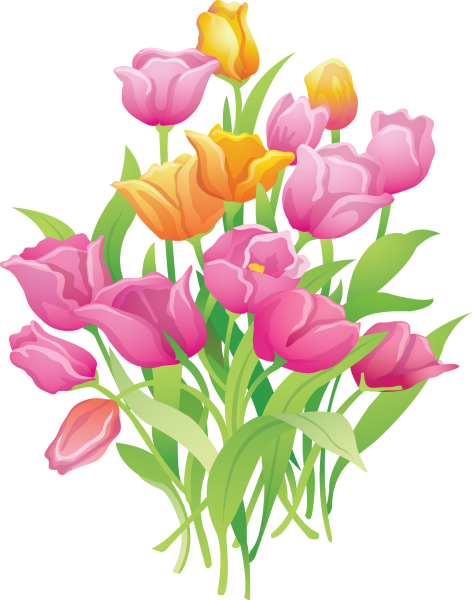 Тюльпан для детей