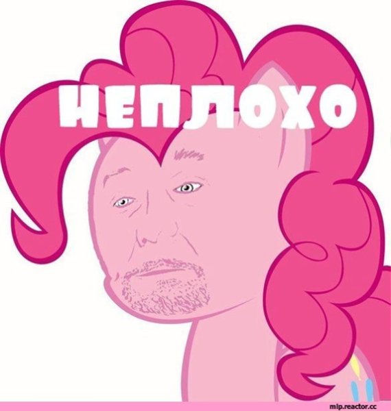 Пони для важных переговоров