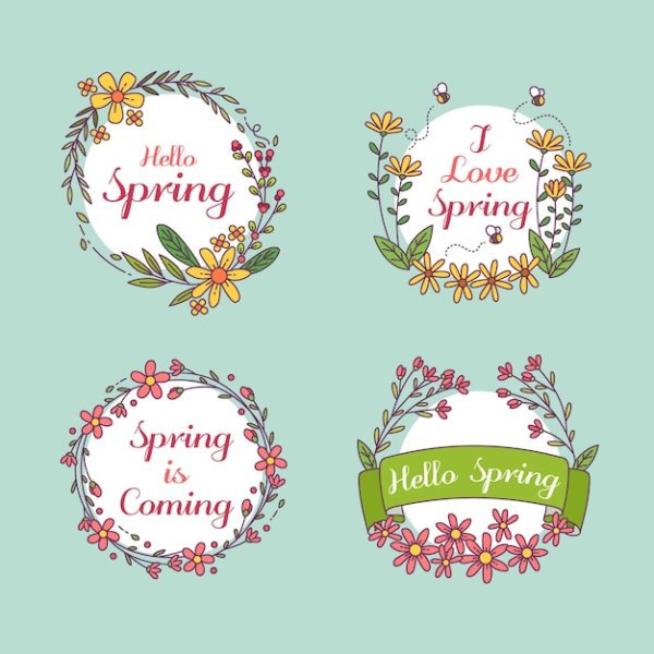 Клипарт весенние цветы на прозрачном фоне