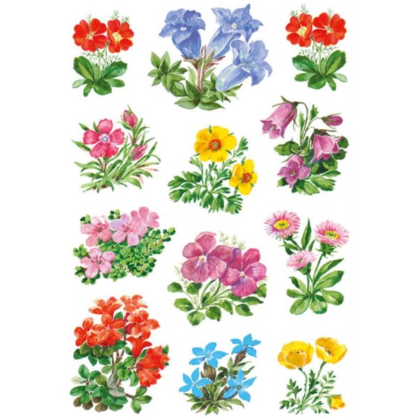 Векторные весенние цветы