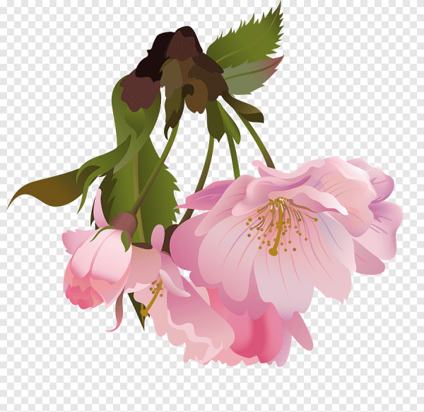 Векторные цветы