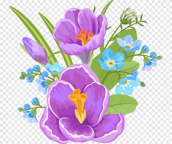 Красивые векторные цветы