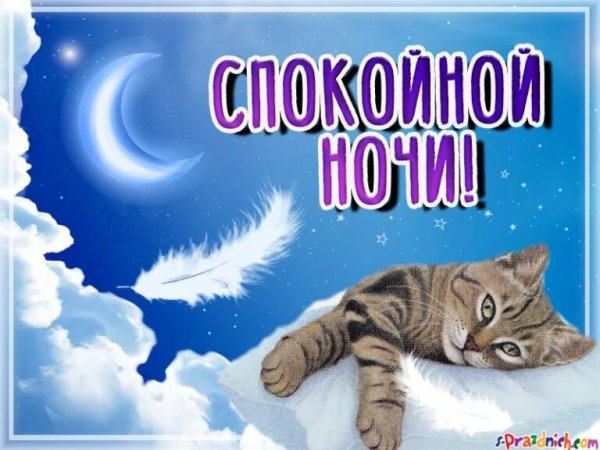 Спокойной ночи спи сладко