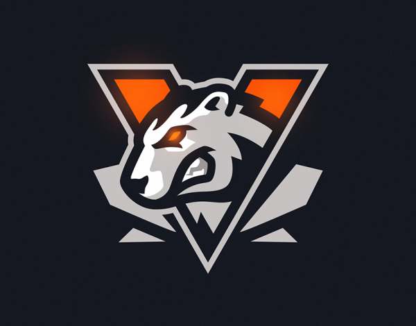 Virtus Pro CS
