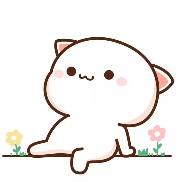 Котики гиф Mochi