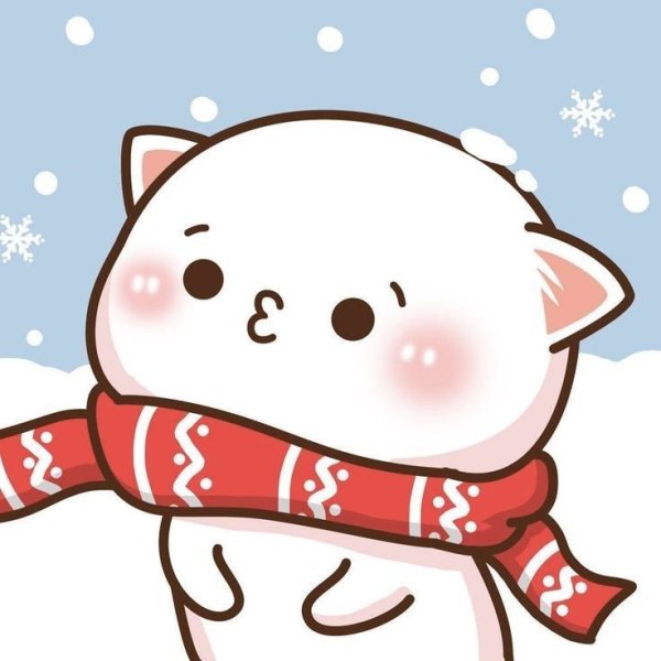 Кавайные котики любовь