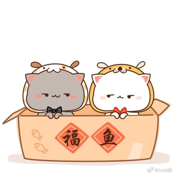 Миленькие котики кавайные