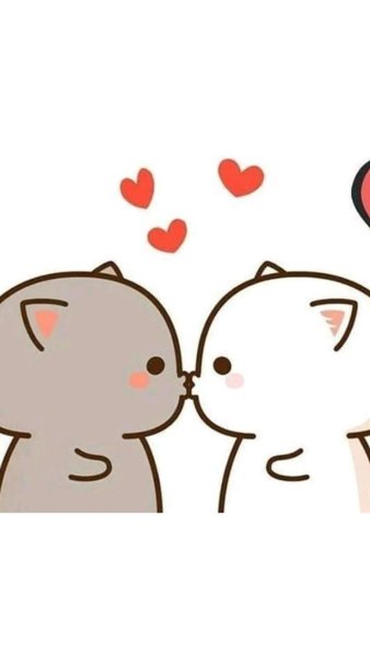 Кавайные котики любовь