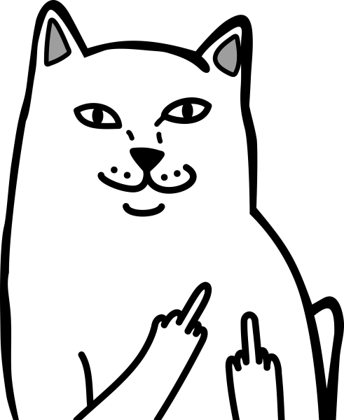 Кот с факом