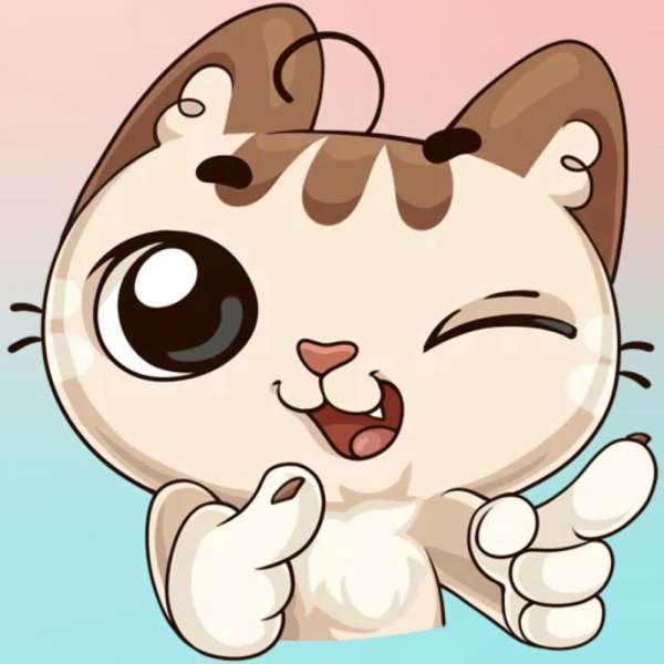 Стикеры. Кот