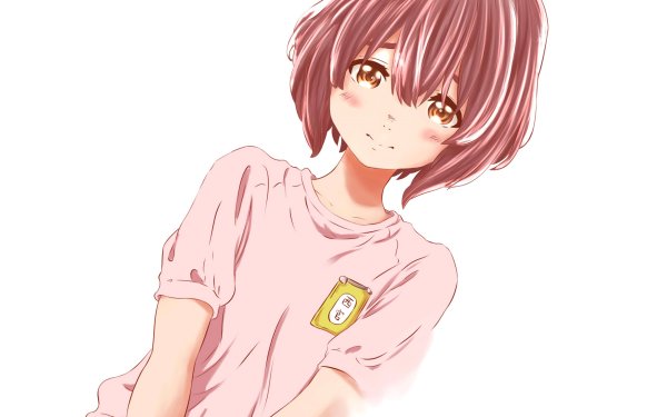 Нишимия аниме