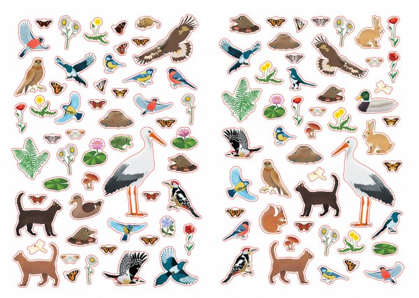 Круг в природе