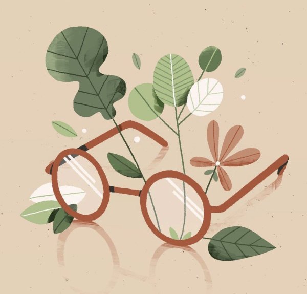 Нарисовать растение