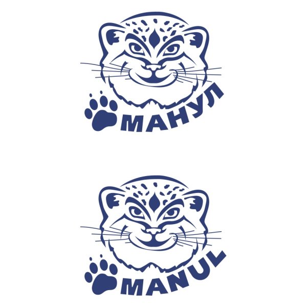 Манул рисунок