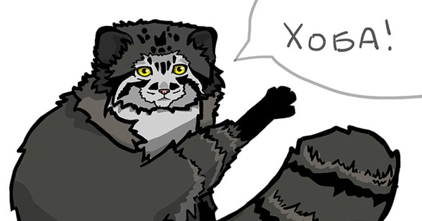 Кот Манул раскраска