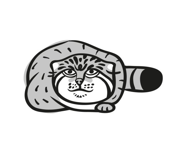 Кот Манул вектор