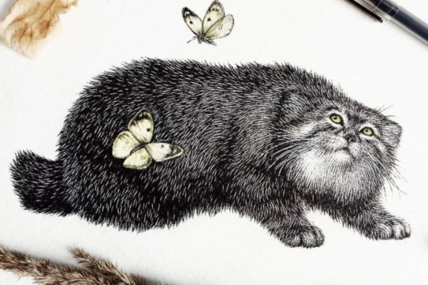 Стикеры котята