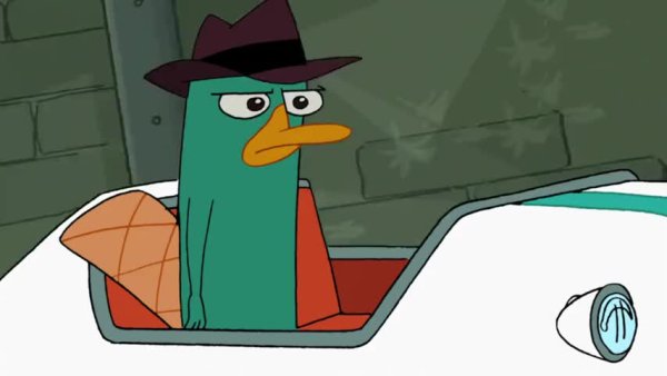 Мистер Утконос