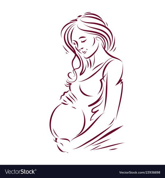 Беременная вектор контур