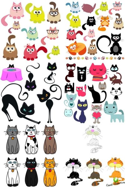 Очертание морды кота