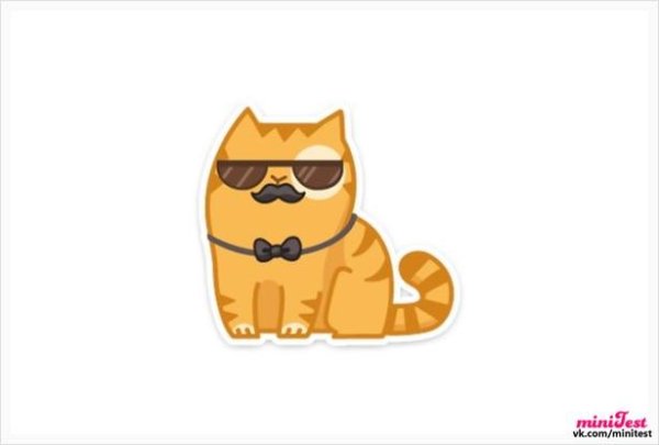 Кот персик на прозрачном фоне