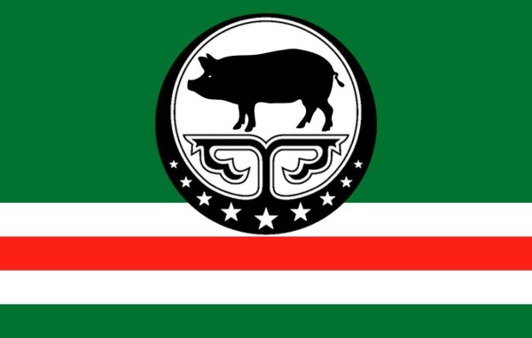 Флаг Чечни и Ичкерии