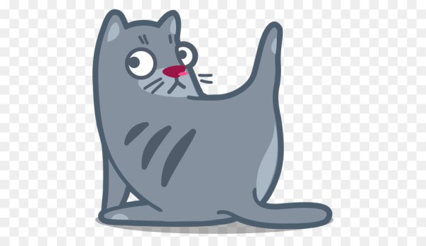 Кот Пушин кот Пушин