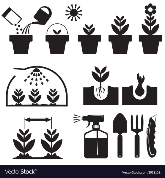 Значки ухода за растениями