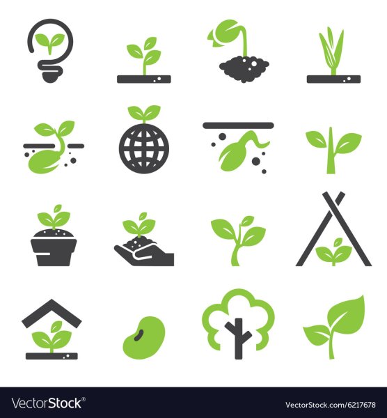 Рассада иконка