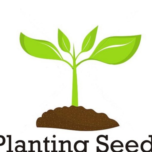 Росток растения рисунок