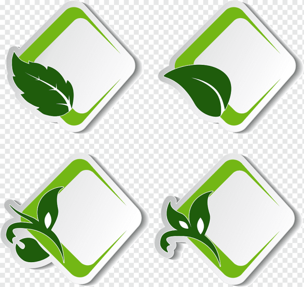 Этикетки на листе