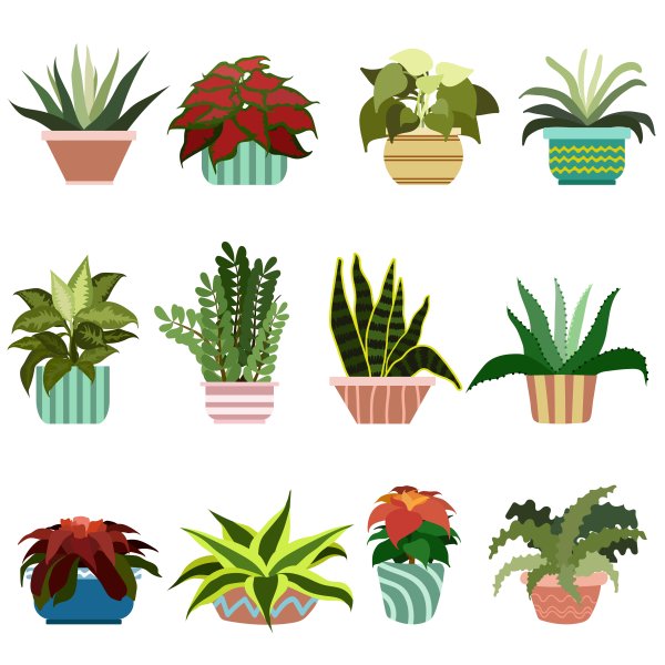 Растение в горшке вектор