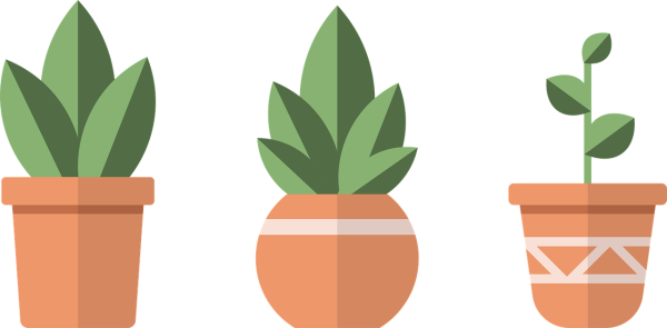 Растение в горшке вектор