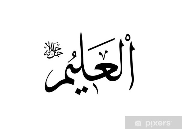 Стикер "путешествие"