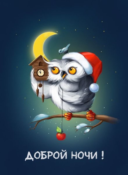 Доброй ночи Сова
