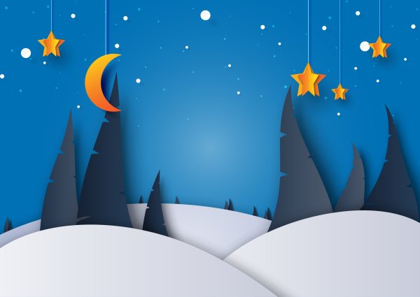 Зимняя ночь вектор