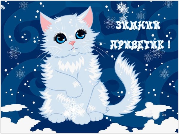 Зимний приветик