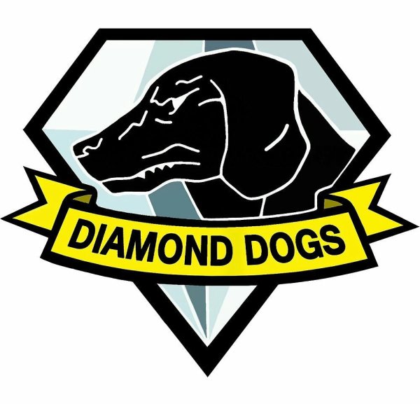 MGS 5 Diamond Dogs