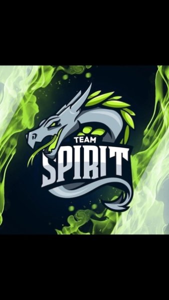 Футболка тим спирит