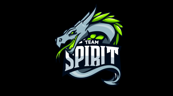 Мерч тим спирит