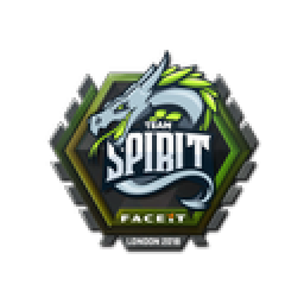 Team Spirit наклейки