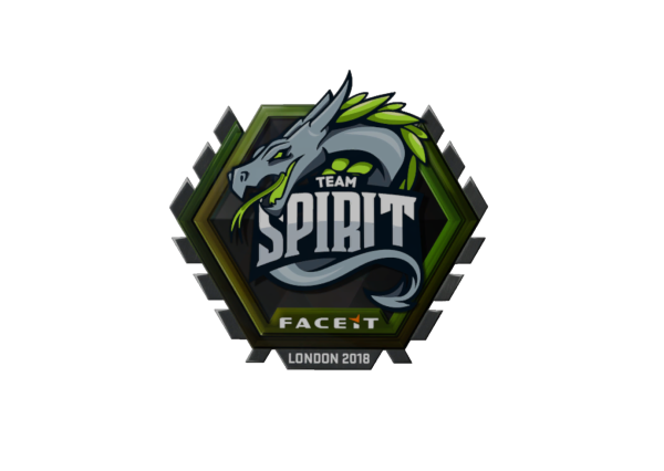 Team Spirit голографическая