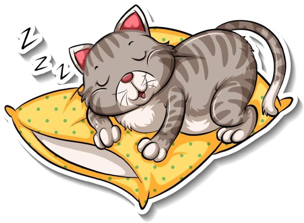 Кошка спит на подушке вектор