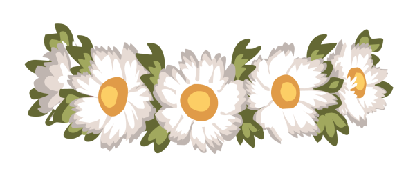 Венок из ромашек на прозрачном фоне