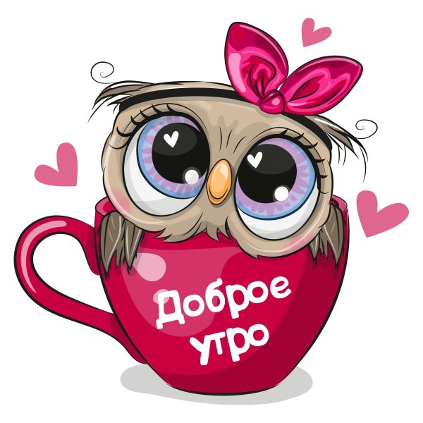 Reginast777 Сова